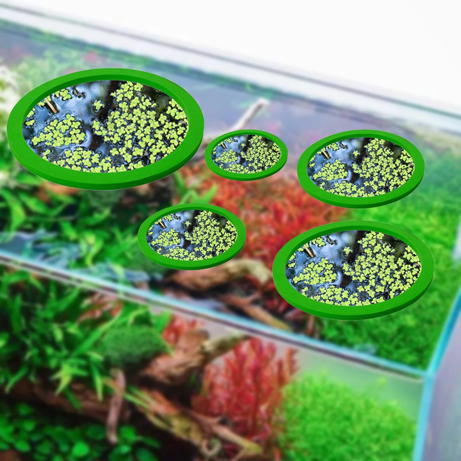 5 buah EVA cincin pemberi maka - Planted Tank ulasan dan harga