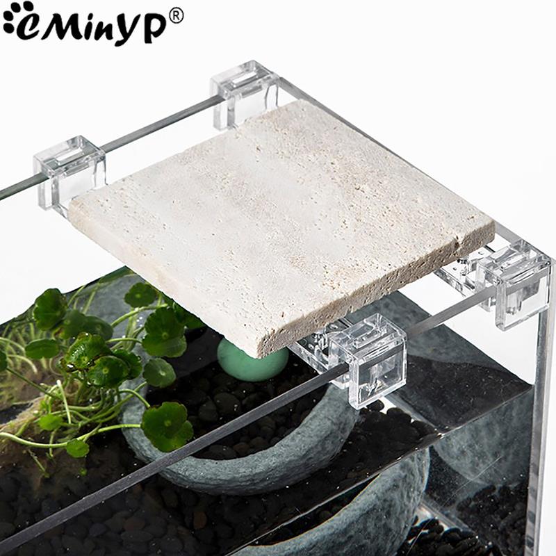 4 buah klip akrilik tangki ika - Aquarium Plant Holder ulasan dan harga
