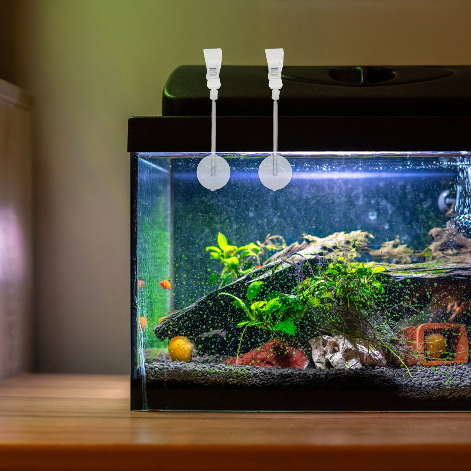 3 buah Klip Penyangga Selang A - Aquarium Plant Holder ulasan dan harga