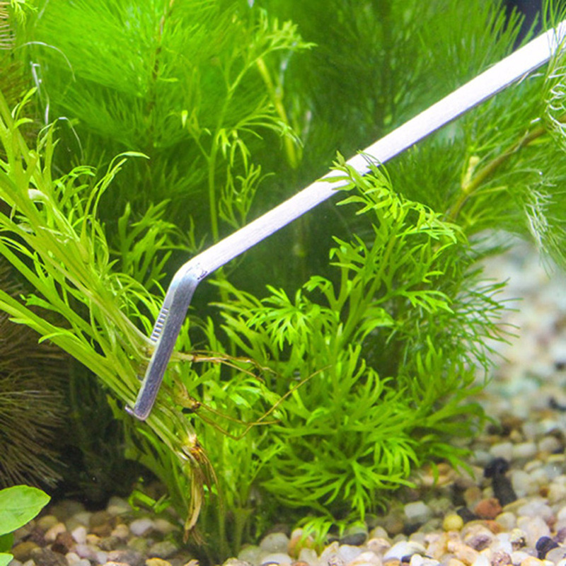 Set Peralatan Perawatan Akuari - Live Plant Aquarium ulasan dan harga