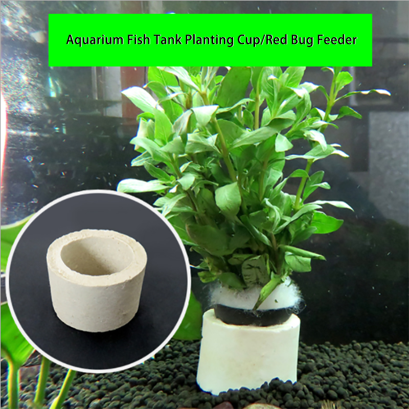Dekorasi akuarium cincin keram - Plant Aquarium Pot ulasan dan harga