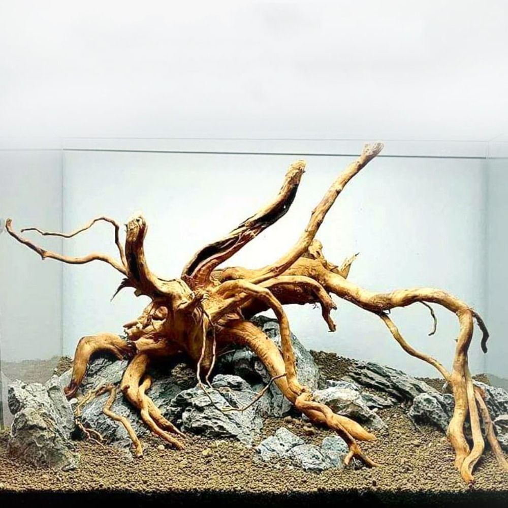 Kayu Apung Akuarium Besar 20-2 - Aquarium Driftwood ulasan dan harga