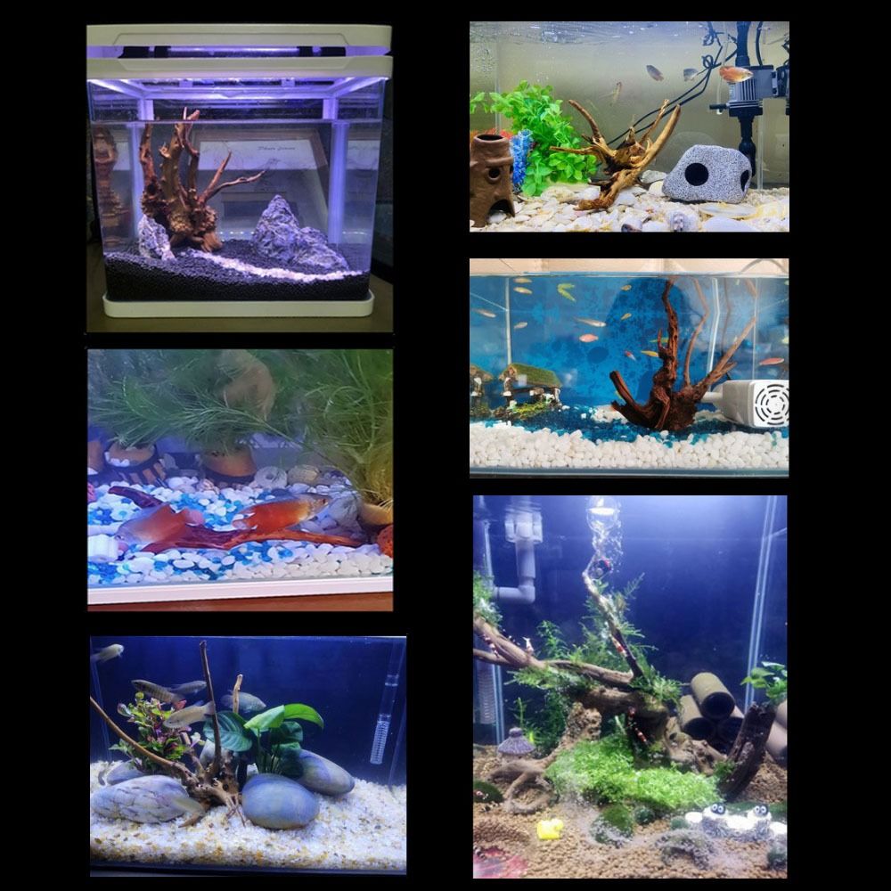 Kayu Apung Akuarium Besar 20-2 - Aquarium Driftwood ulasan dan harga