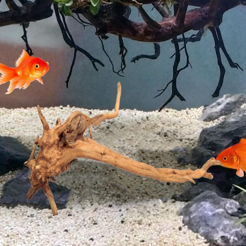 Kayu Apung Akuarium Besar 20-2 - Aquarium Driftwood ulasan dan harga