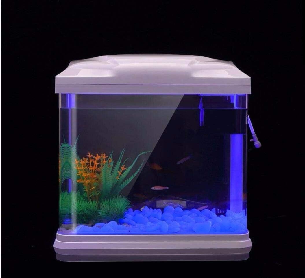 Batu Tangki Ikan Kerikil Biru  - Aquarium Moss ulasan dan harga