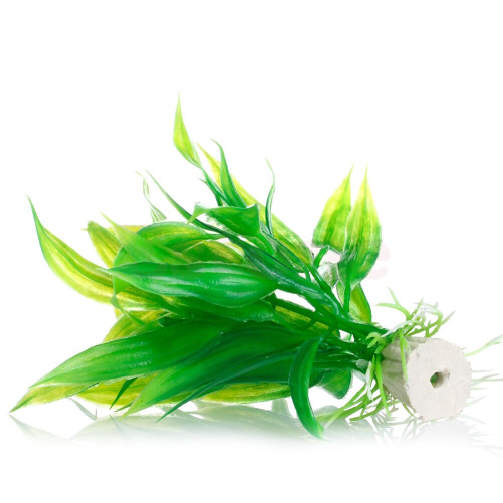 Tanaman dekorasi akuarium buat - Live Plant Aquarium ulasan dan harga