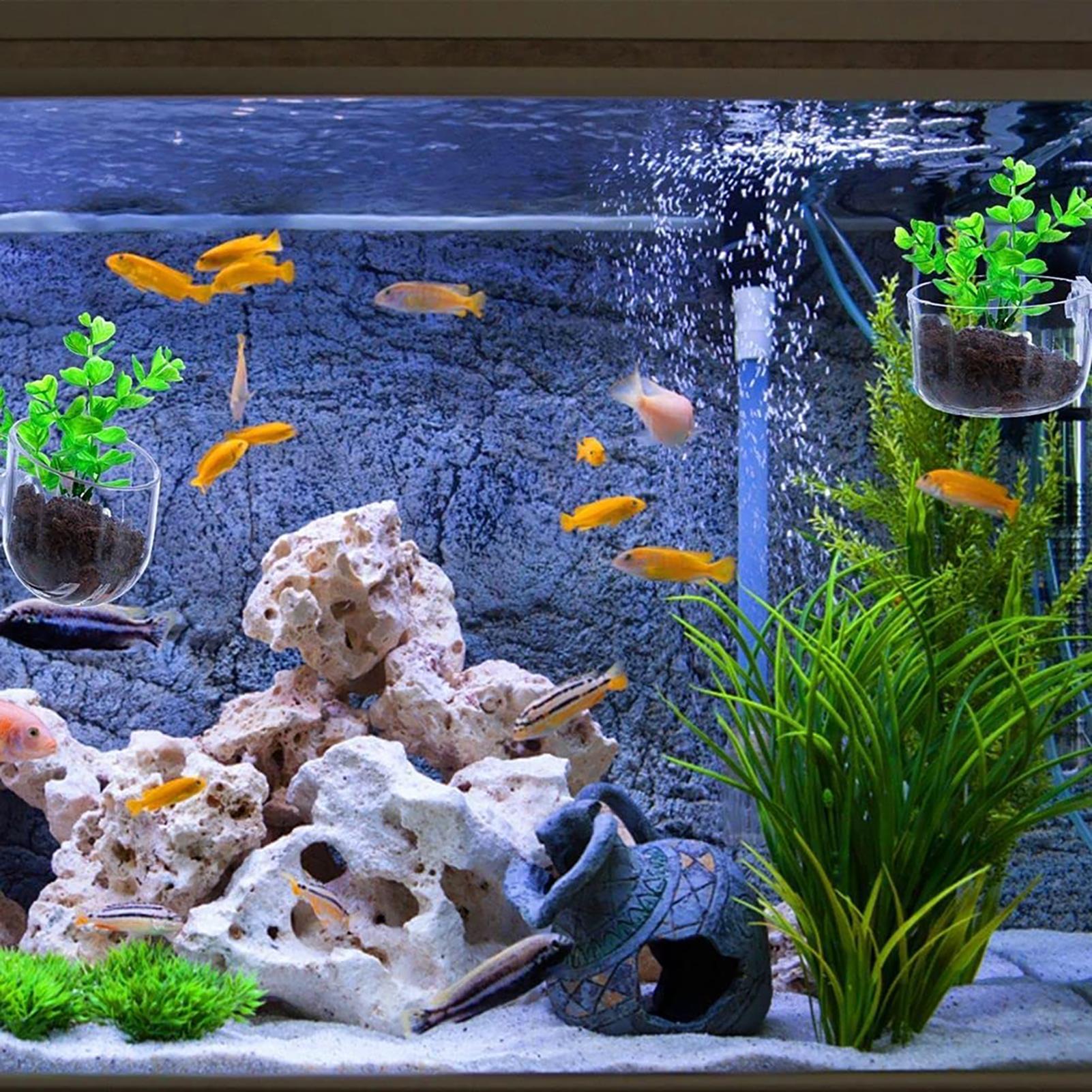 Pot Tanaman Air Akrilik Bening - Plant Aquarium Pot ulasan dan harga