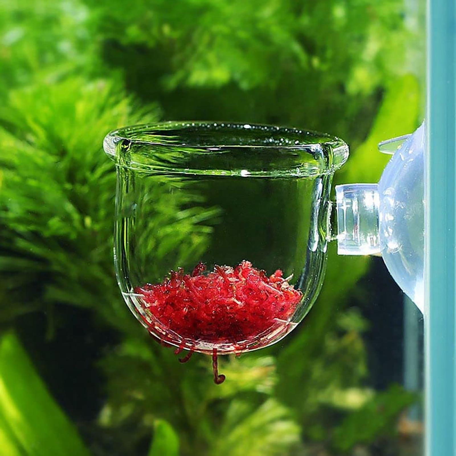 Pot Tanaman Air Akrilik Bening - Plant Aquarium Pot ulasan dan harga