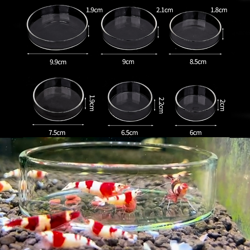 Piring Makan Udang Piring Maka - Aquarium Fertilizer ulasan dan harga
