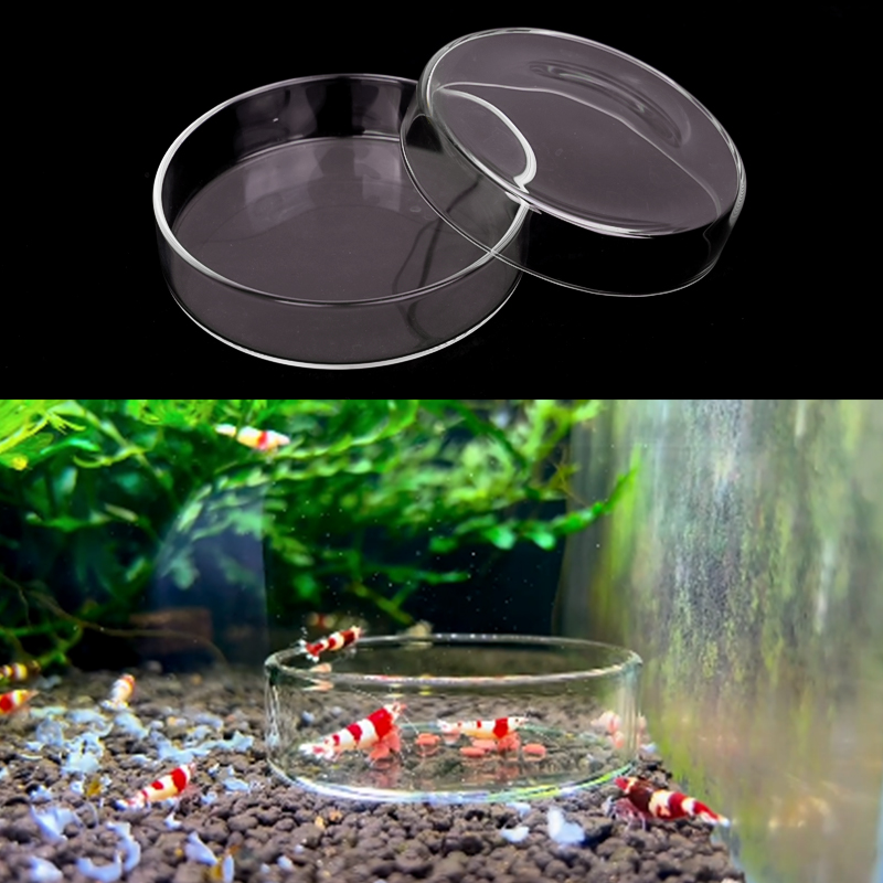 Piring Makan Udang Piring Maka - Aquarium Fertilizer ulasan dan harga