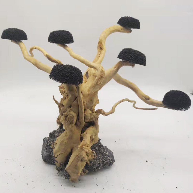 Akuarium Driftwood lansekap de - Aquarium Driftwood ulasan dan harga