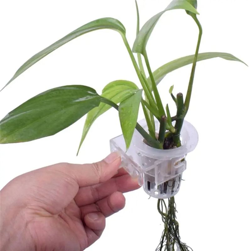 A7THK-2 Buah Wadah Tanaman Aku - Aquarium Plant Holder ulasan dan harga