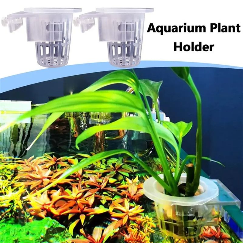 A7THK-2 Buah Wadah Tanaman Aku - Aquarium Plant Holder ulasan dan harga
