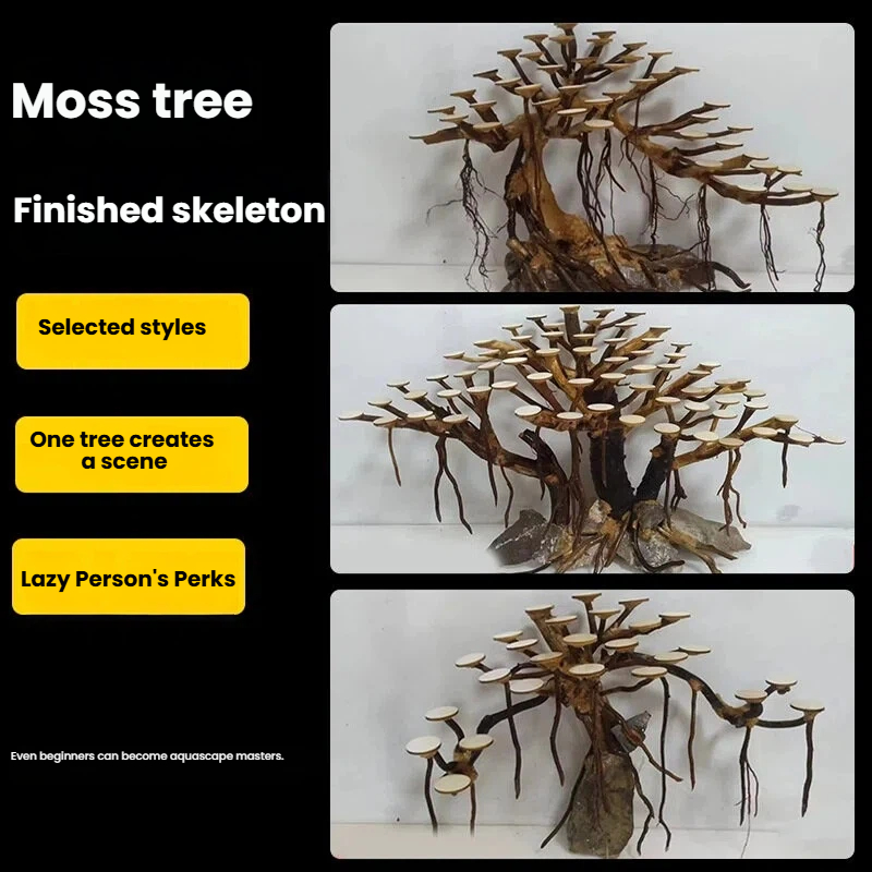 Dekorasi akuarium, hiasan poho - Aquarium Moss ulasan dan harga