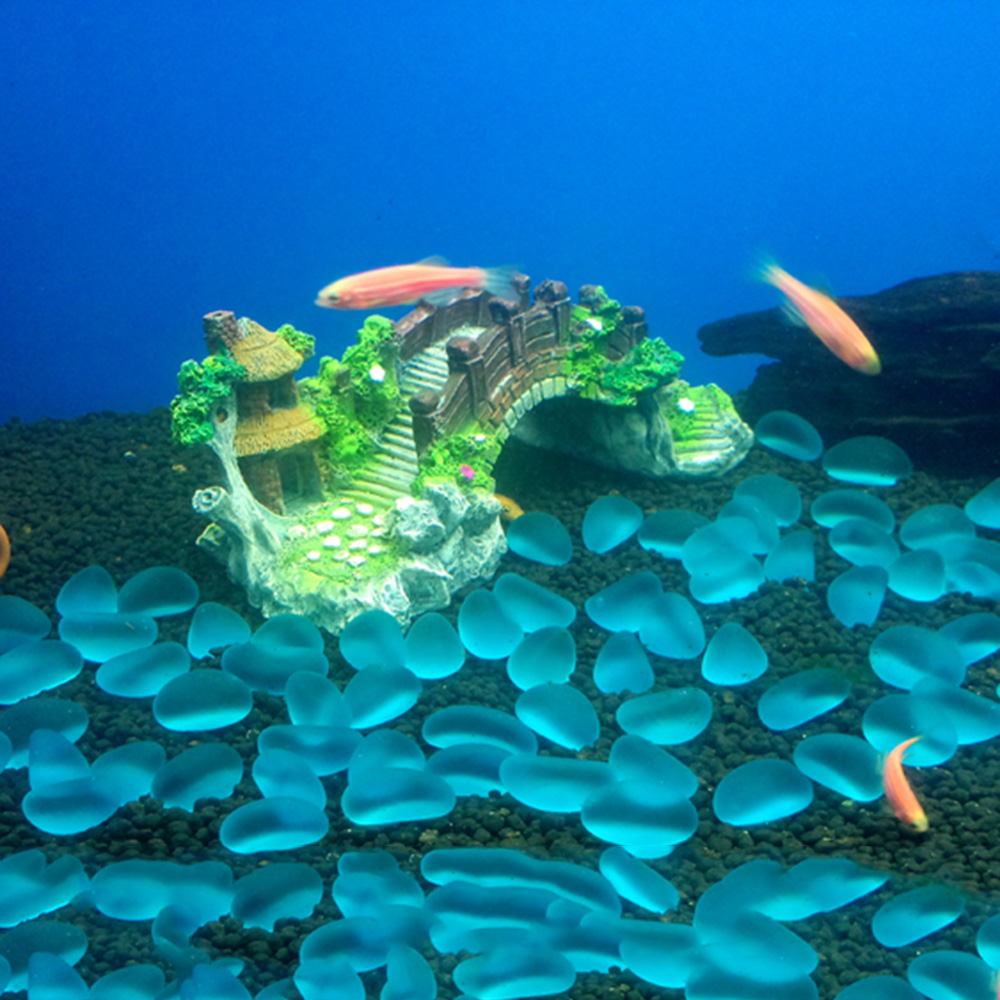 Aksesori akuarium pohon Arbor  - Aquarium Plant Substrate ulasan dan harga