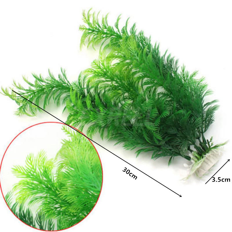14cm - 30cm Tanaman Akuarium P - Live Plant Aquarium ulasan dan harga
