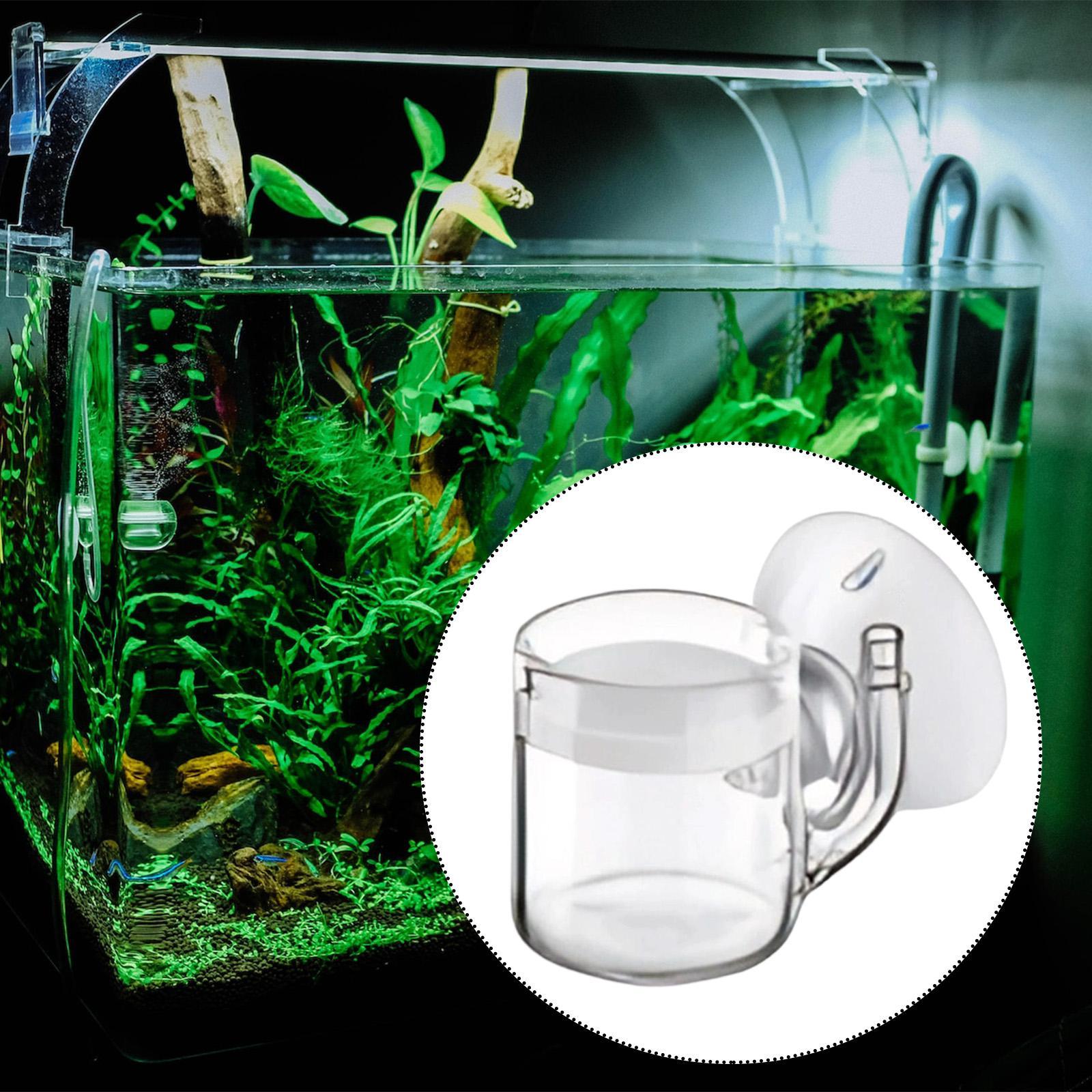 Diffuser CO2 Dasar Datar, Seny - Planted Aquarium Cleaning ulasan dan harga