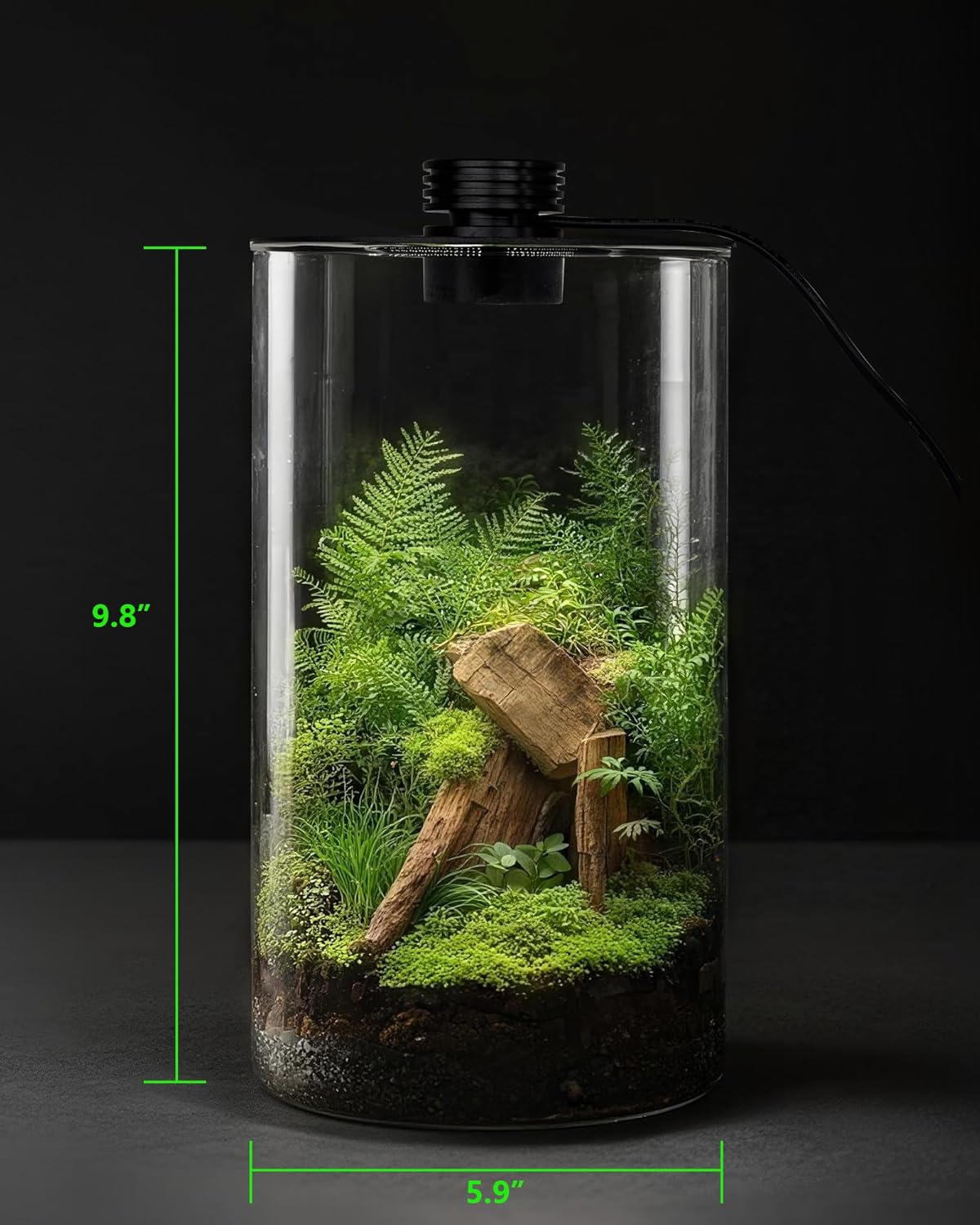 Terarium Kaca Dalam Ruangan de - Planted Tank ulasan dan harga
