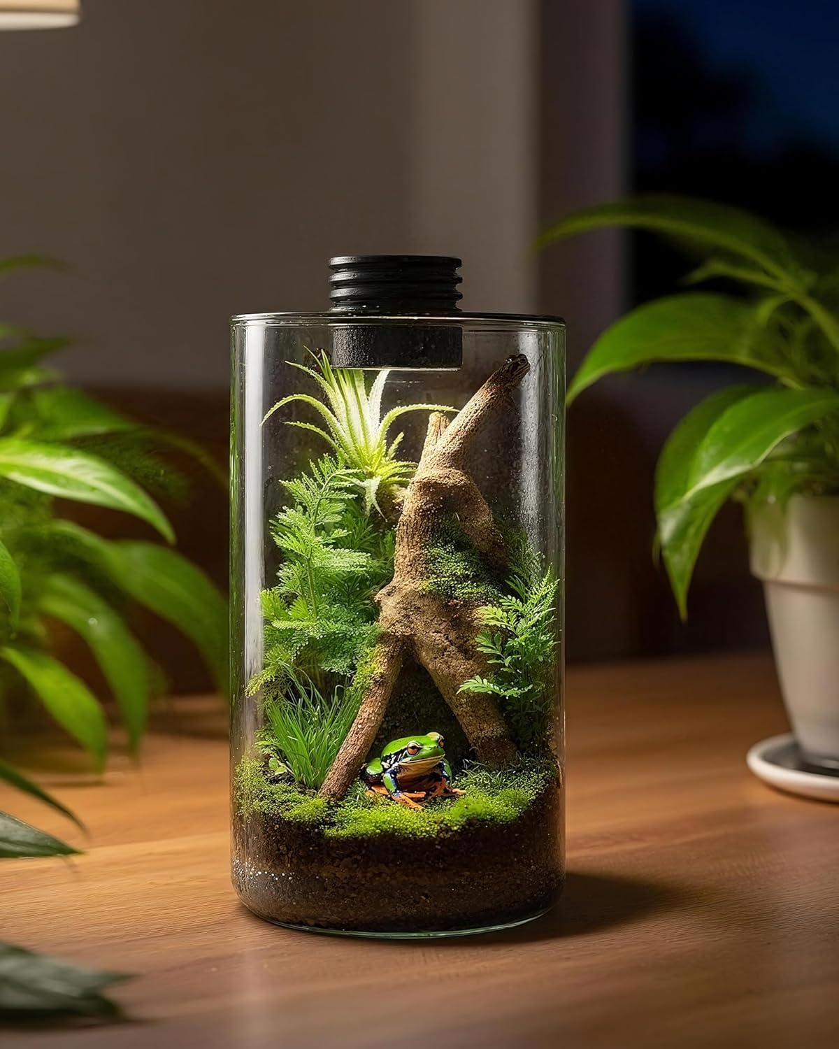 Terarium Kaca Dalam Ruangan de - Planted Tank ulasan dan harga