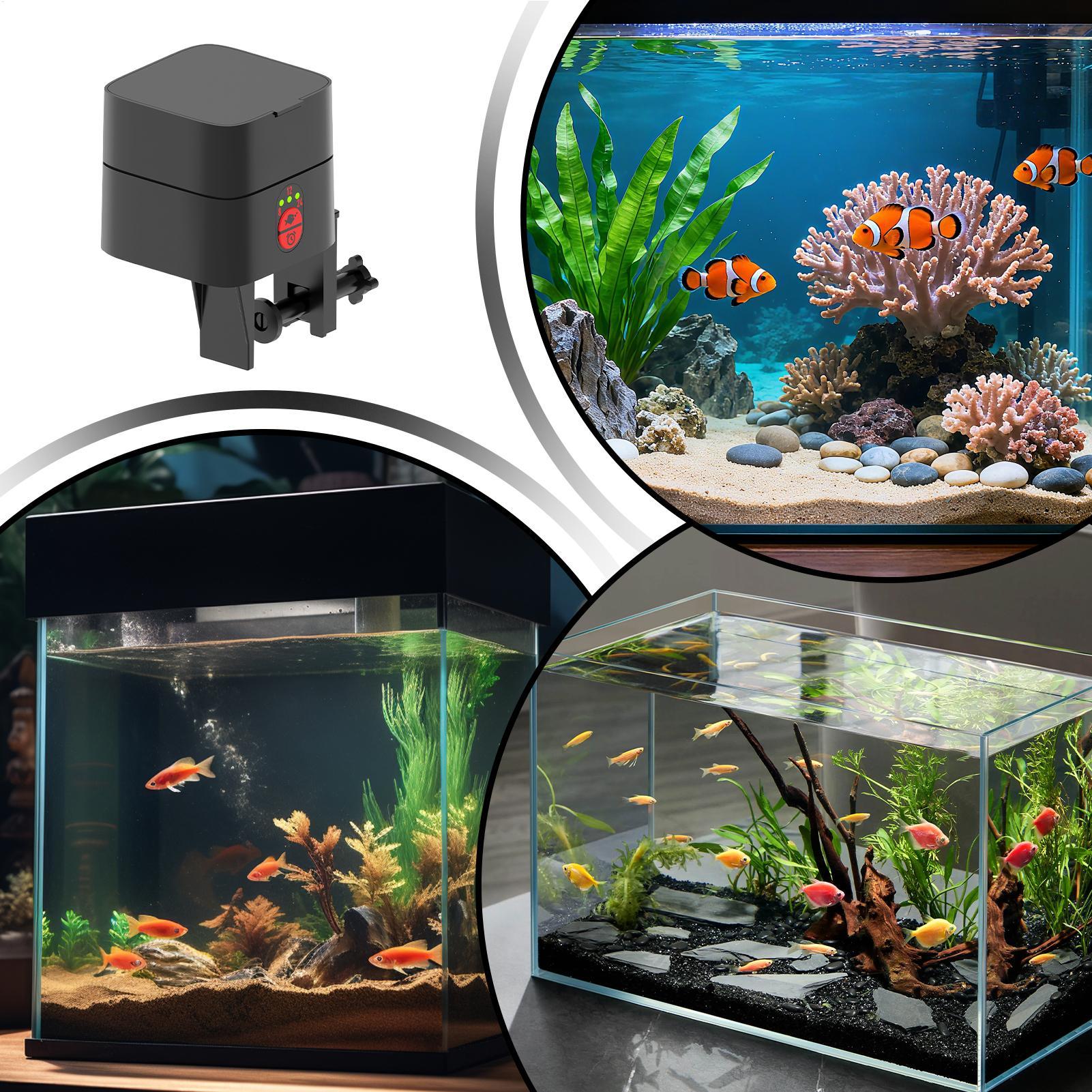 Pengumpan Ikan Otomatis untuk  - Aquarium Fertilizer ulasan dan harga