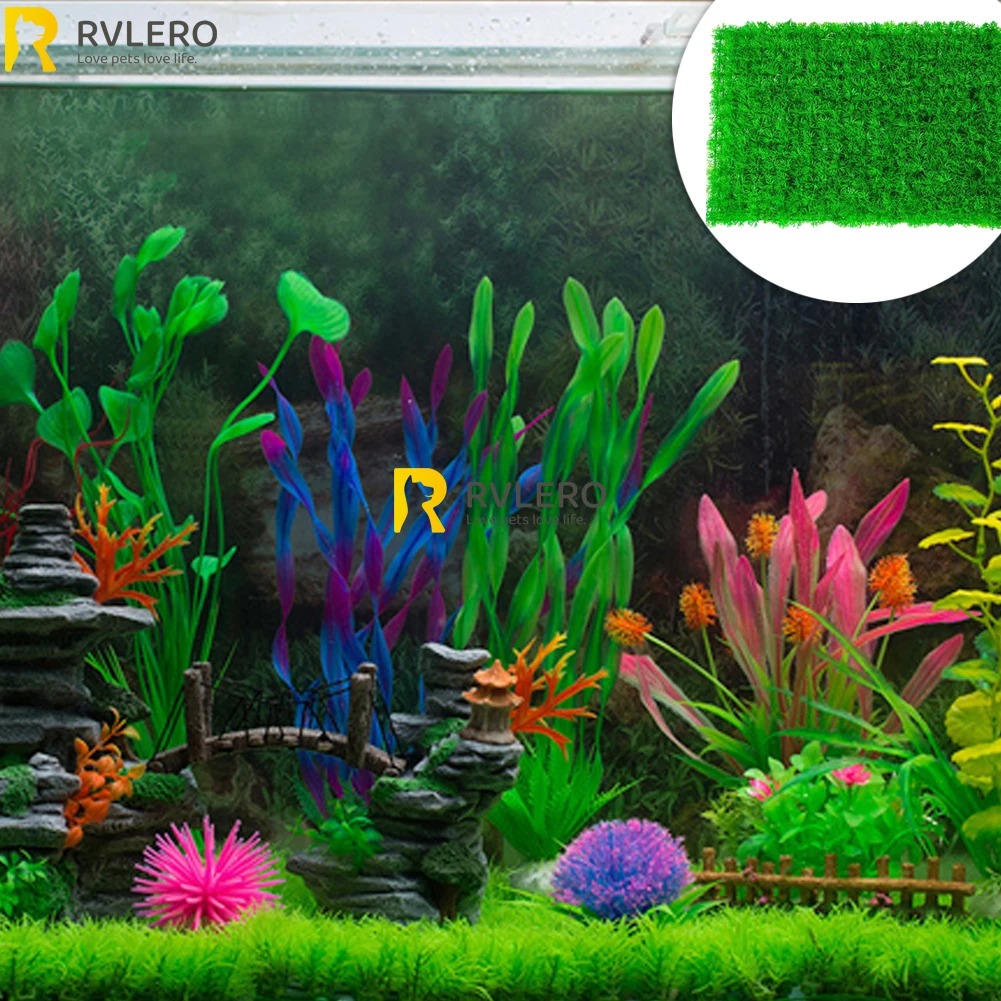 Rumput buatan akuarium rumput  - Live Plant Aquarium ulasan dan harga
