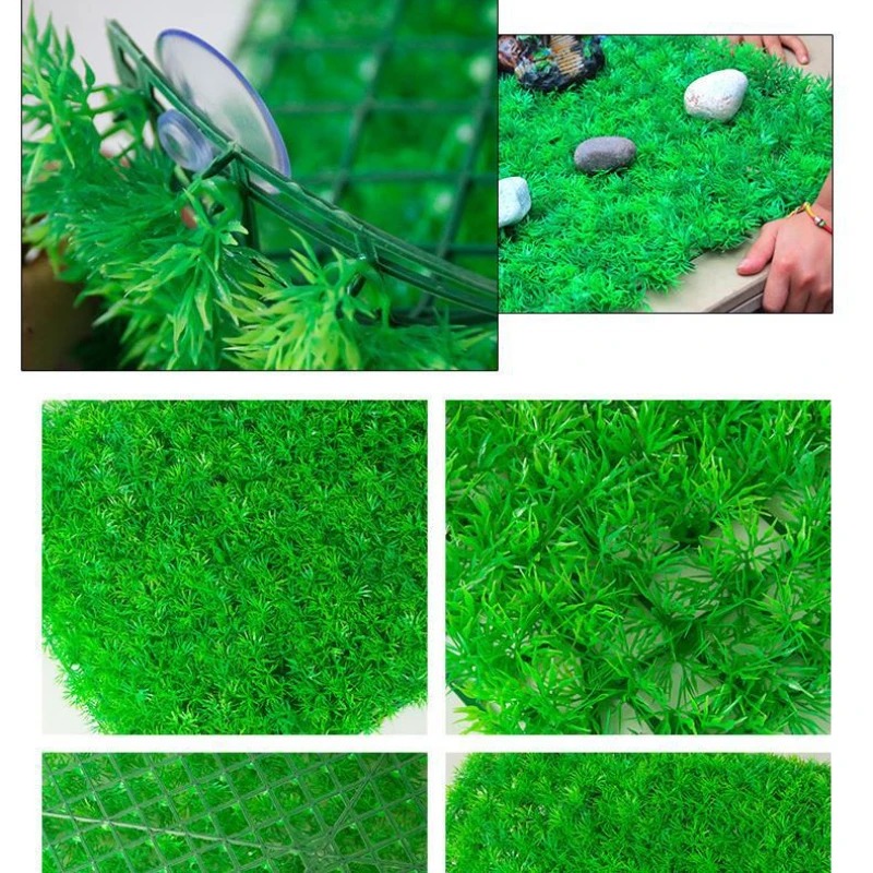 Rumput buatan akuarium rumput  - Live Plant Aquarium ulasan dan harga