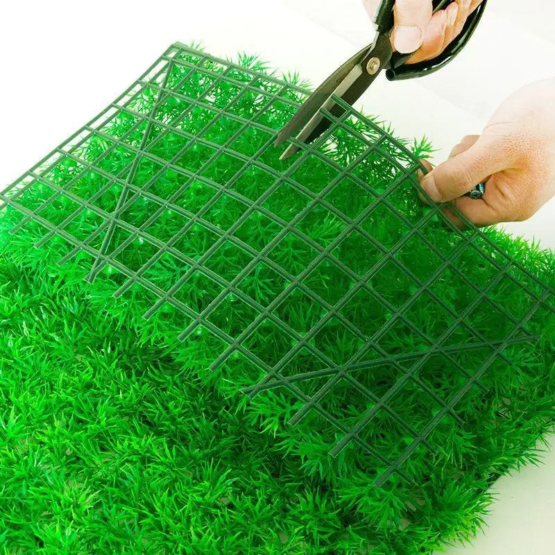 Rumput buatan akuarium rumput  - Live Plant Aquarium ulasan dan harga