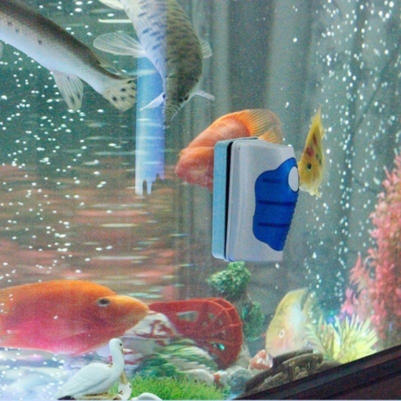 Pembersih Kaca Akuarium, Sikat - Planted Aquarium Cleaning ulasan dan harga