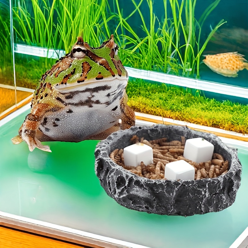 6 Buah Batu Kalsium untuk Akua - Aquarium Moss ulasan dan harga