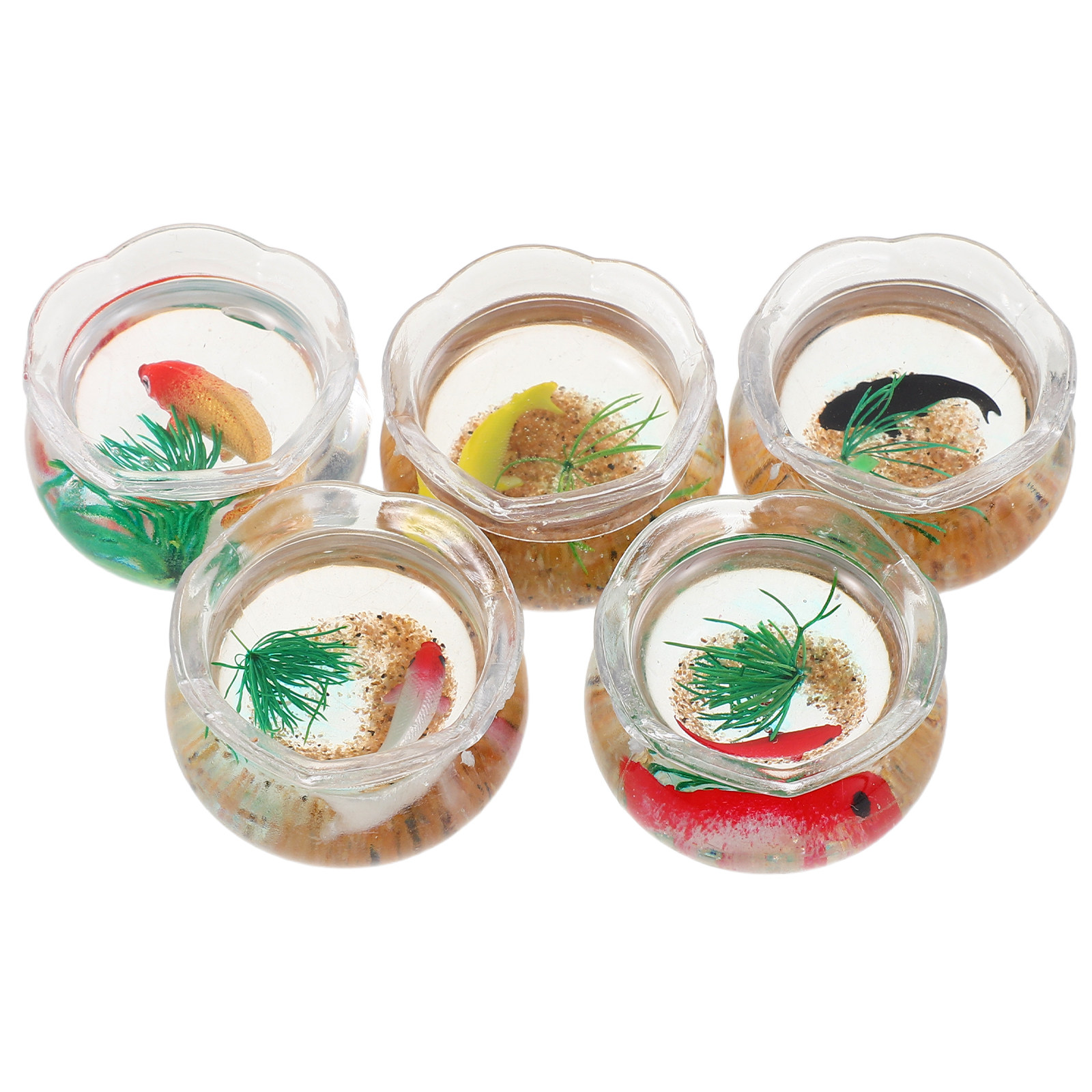 5 Buah Akuarium Mini Berbentuk - Planted Tank ulasan dan harga
